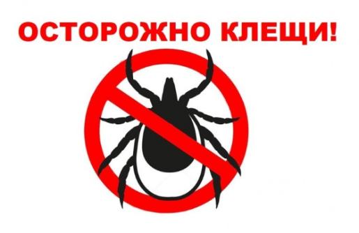 Осторожно! клещи! Осторожно! клещи!