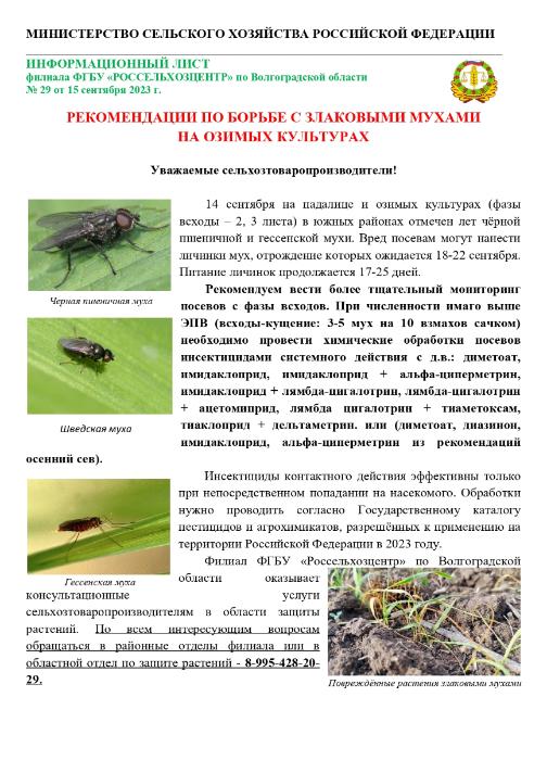 РЕКОМЕНДАЦИИ ПО БОРЬБЕ С ЗЛАКОВЫМИ МУХАМИ НА ОЗИМЫХ КУЛЬТУРАХ РЕКОМЕНДАЦИИ ПО БОРЬБЕ С ЗЛАКОВЫМИ МУХАМИ НА ОЗИМЫХ КУЛЬТУРАХ