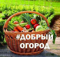 Социальный проект #Добрый огород Социальный проект #Добрый огород