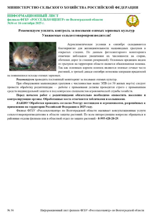 Информационный материал Мышевидные грызуны Информационный материал Мышевидные грызуны