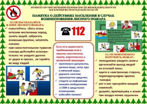 Памятка о действиях населения в случае возникновения лесного пожара Памятка о действиях населения в случае возникновения лесного пожара