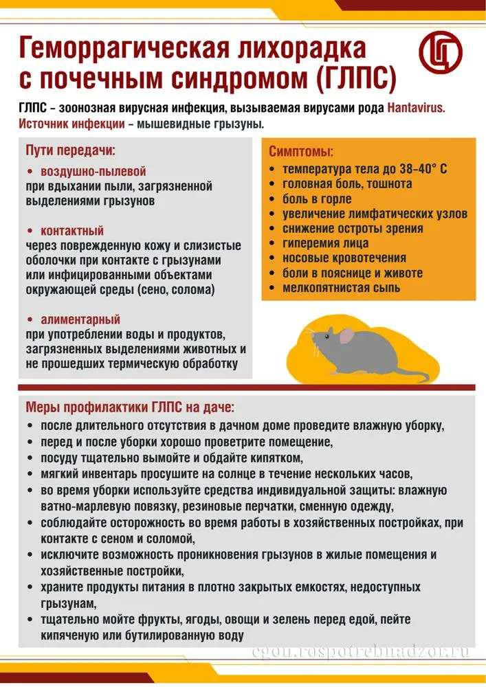 Геморрагическая лихорадка с почечным синдромом (ГЛПС) – острое инфекционное заболевание с поражением почек и кровеносных сосудов, выраженной интоксикацией, характерна весенне-летне-осенняя сезонность Геморрагическая лихорадка с почечным синдромом (ГЛПС) – острое инфекционное заболевание с поражением почек и кровеносных сосудов, выраженной интоксикацией, характерна весенне-летне-осенняя сезонность