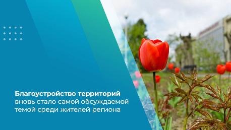 Благоустройство территорий вновь стало самой обсуждаемой темой среди волгоградцев Благоустройство территорий вновь стало самой обсуждаемой темой среди волгоградцев