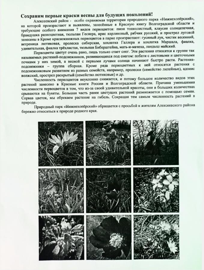 Сохраним первые краски весны для будущих поколений!