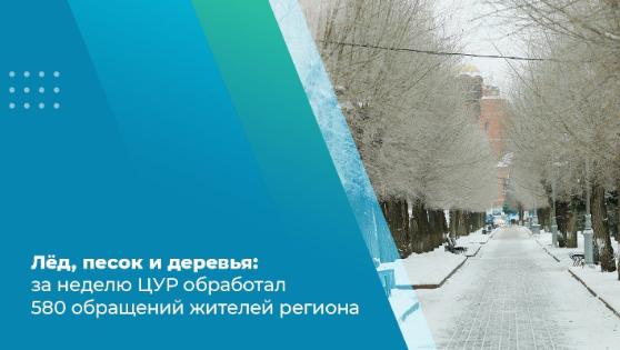 Лёд, песок и деревья: за неделю ЦУР обработал 580 обращений жителей региона Лёд, песок и деревья: за неделю ЦУР обработал 580 обращений жителей региона