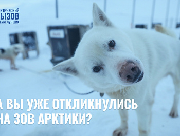Арктика бросает вам вызов!