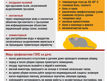 Геморрагическая лихорадка с почечным синдромом (ГЛПС) – острое инфекционное заболевание с поражением почек и кровеносных сосудов, выраженной интоксикацией, характерна весенне-летне-осенняя сезонность