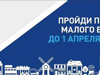 Сплошное статистическое наблюдение малого и среднего бизнеса