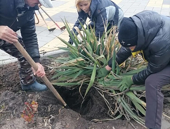 C целью увеличения доли граждан, принимающих трудовое участие в формировании комфортной городской среды, Министерством строительства и жилищно-коммунального хозяйства Российской Федерации принято решение о проведении Всероссийского субботника 25 апреля 20