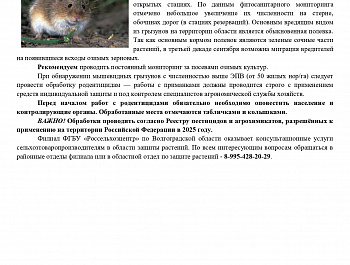 Информационный материал Мышевидные грызуны