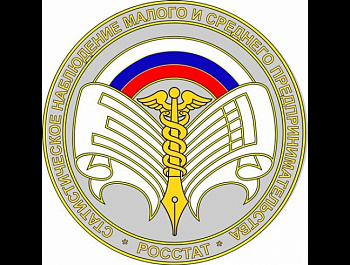 С 1 марта 2021 года на Едином портале государственных услуг открыт прием статистических отчетов в рамках Экономической переписи малого и среднего бизнеса за 2020 год 